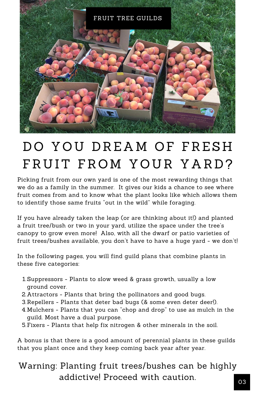 Fruit Tree Guilds For an Edible Landscape in the USDA Planting Zone 6 Guide