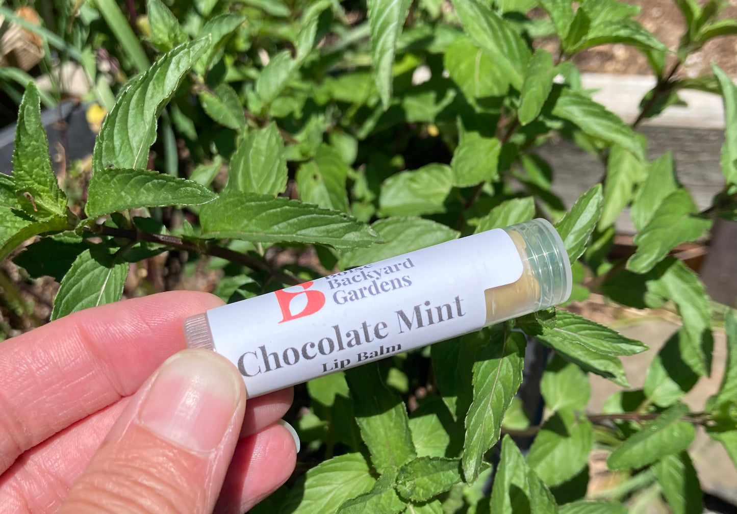 Chocolate Mint Lip Balm