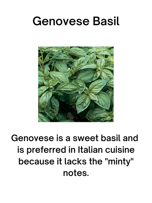 Genovese Basil Seeds