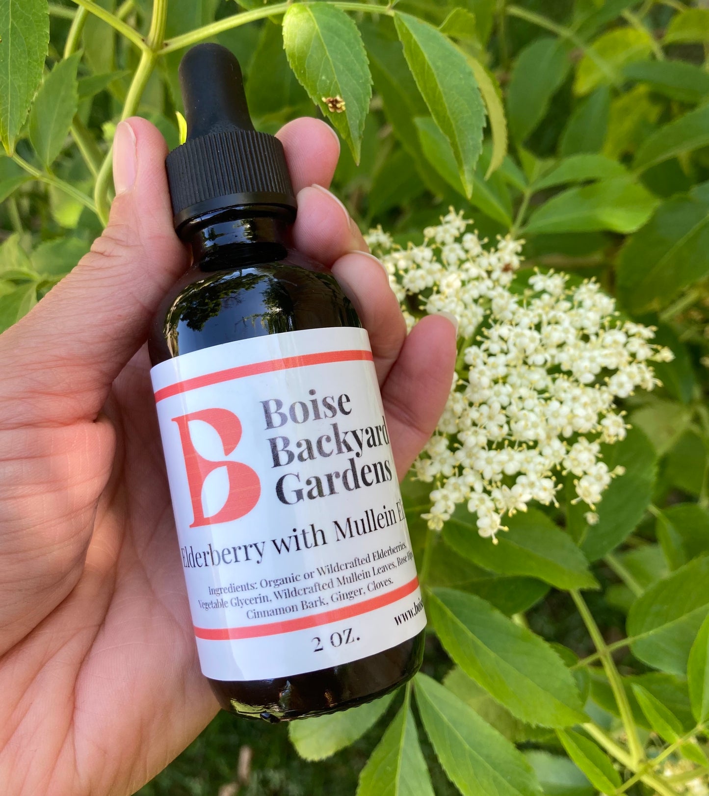 Elderberry Elixir w/Mullein - 2 oz. Travel Size