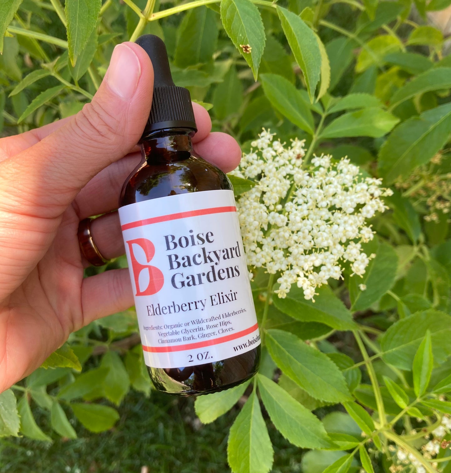 Elderberry Elixir - 2 oz. Travel Size