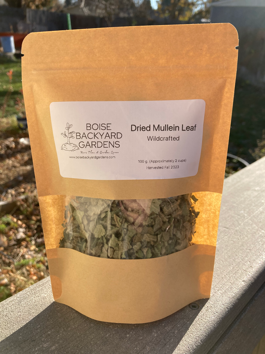 Dried Mullein Leaf - Wildcrafted