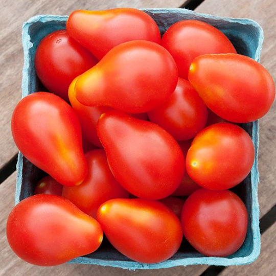 Red Pear Tomato Plant