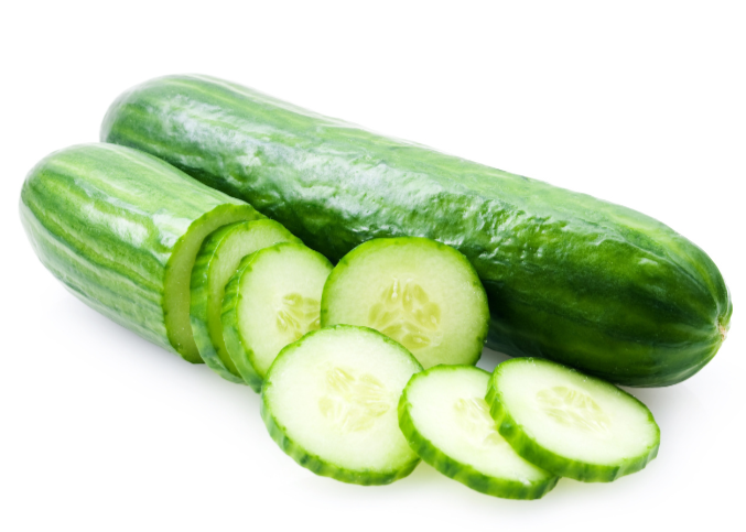 Straight 8 Cucumber Plant