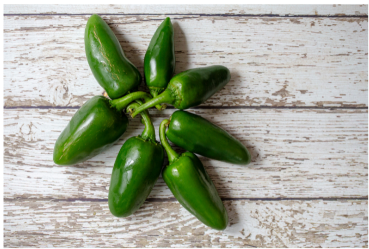 Tam (Mild) Jalapeno Pepper Plant