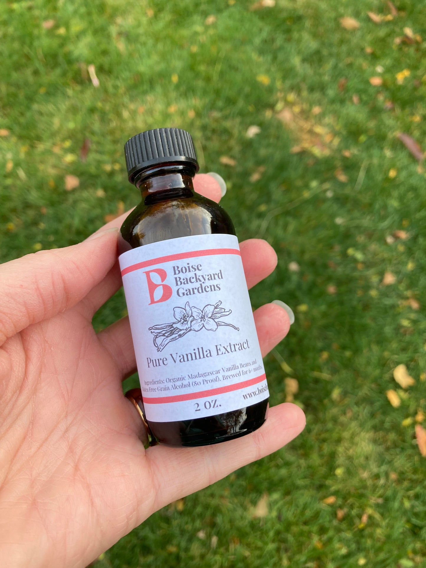 Pure Vanilla Extract