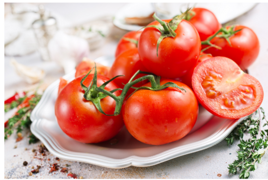 Bonny Best Tomato Plant