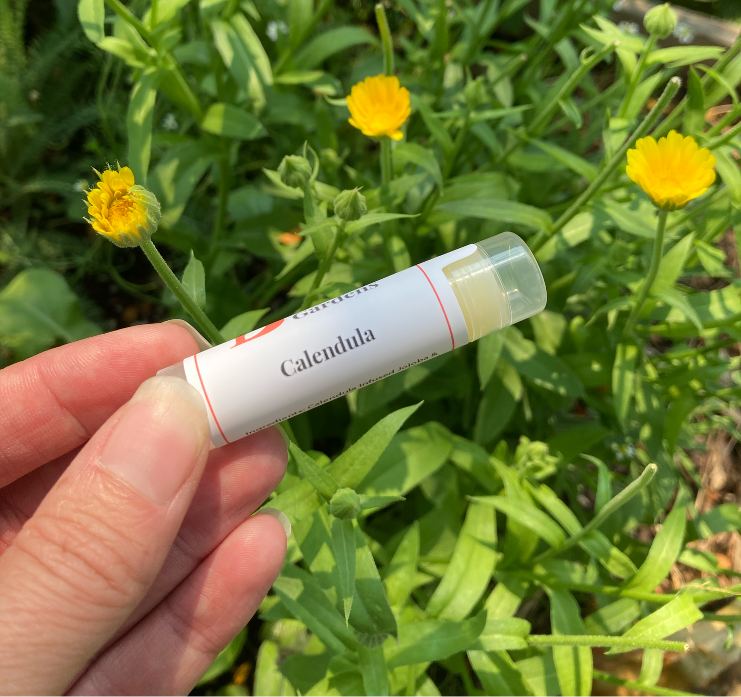 Calendula Lip Balm