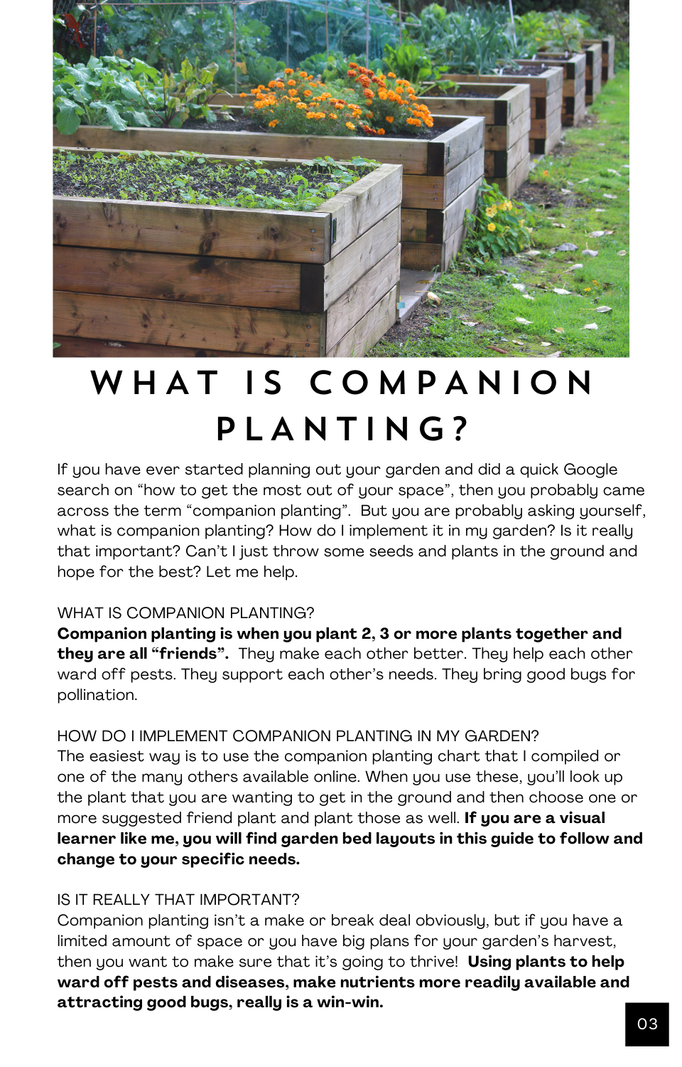 Putting It All Together - Companion Planting Garden Layouts