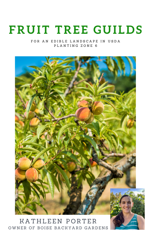 Native Tree Guild Fruit Tree Guilds For an Edible Landscape in the USDA Planting Zone 6 ...