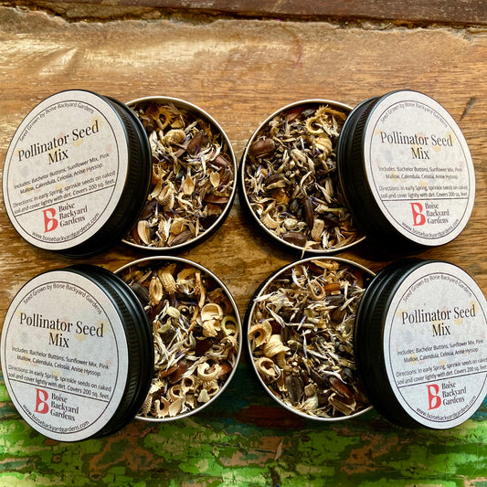 Pollinator Seed Mix