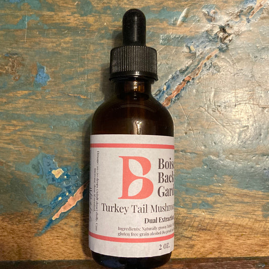 Turkey Tail Mushroom Tincture
