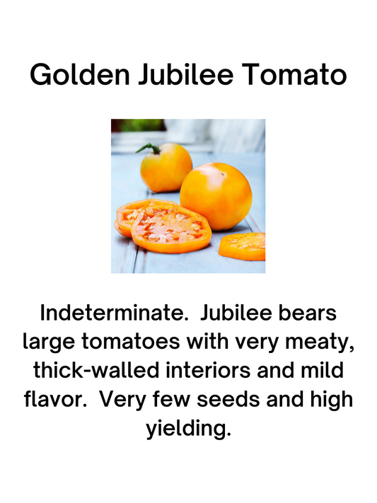 Golden Jubilee Tomato Seeds