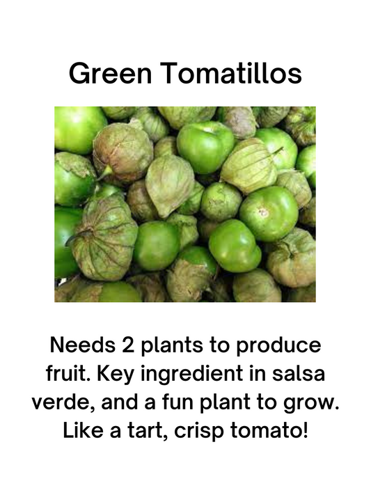 Tomatillo Seeds