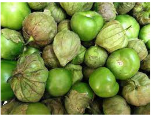 Green Tomatillo Plant