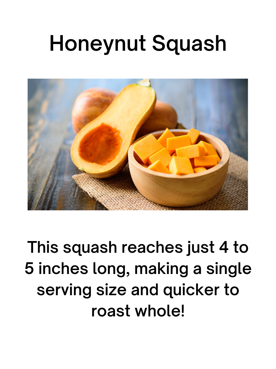 Honeynut Squash (Mini Butternut)