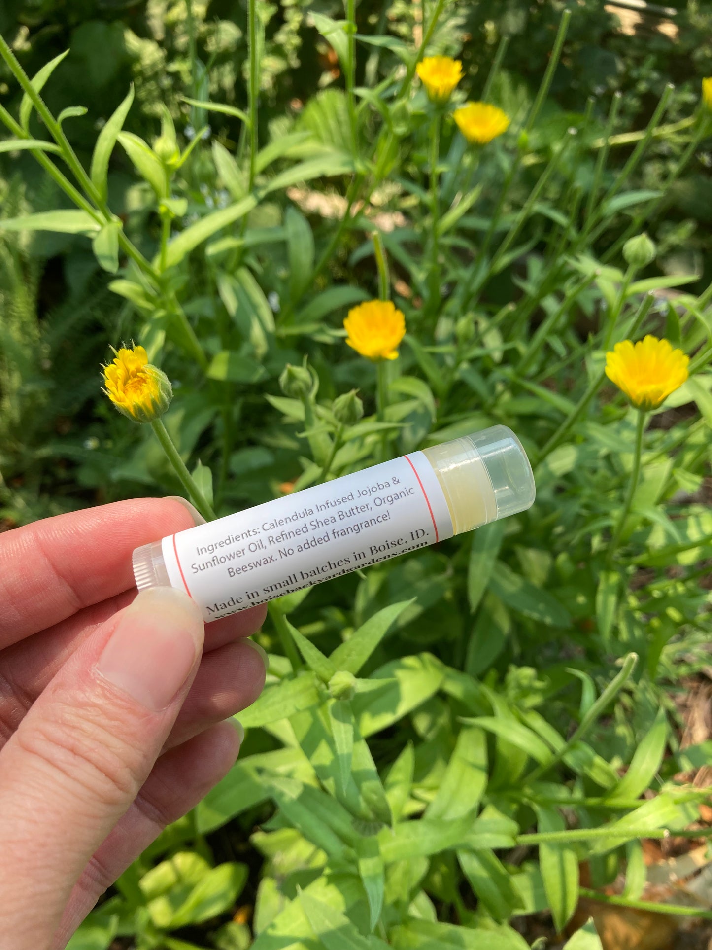 Calendula Lip Balm