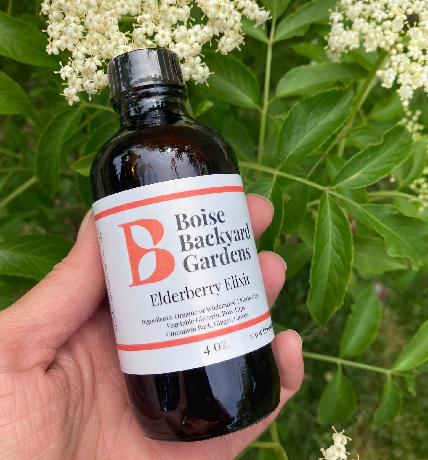 Elderberry Elixir - 4 oz.