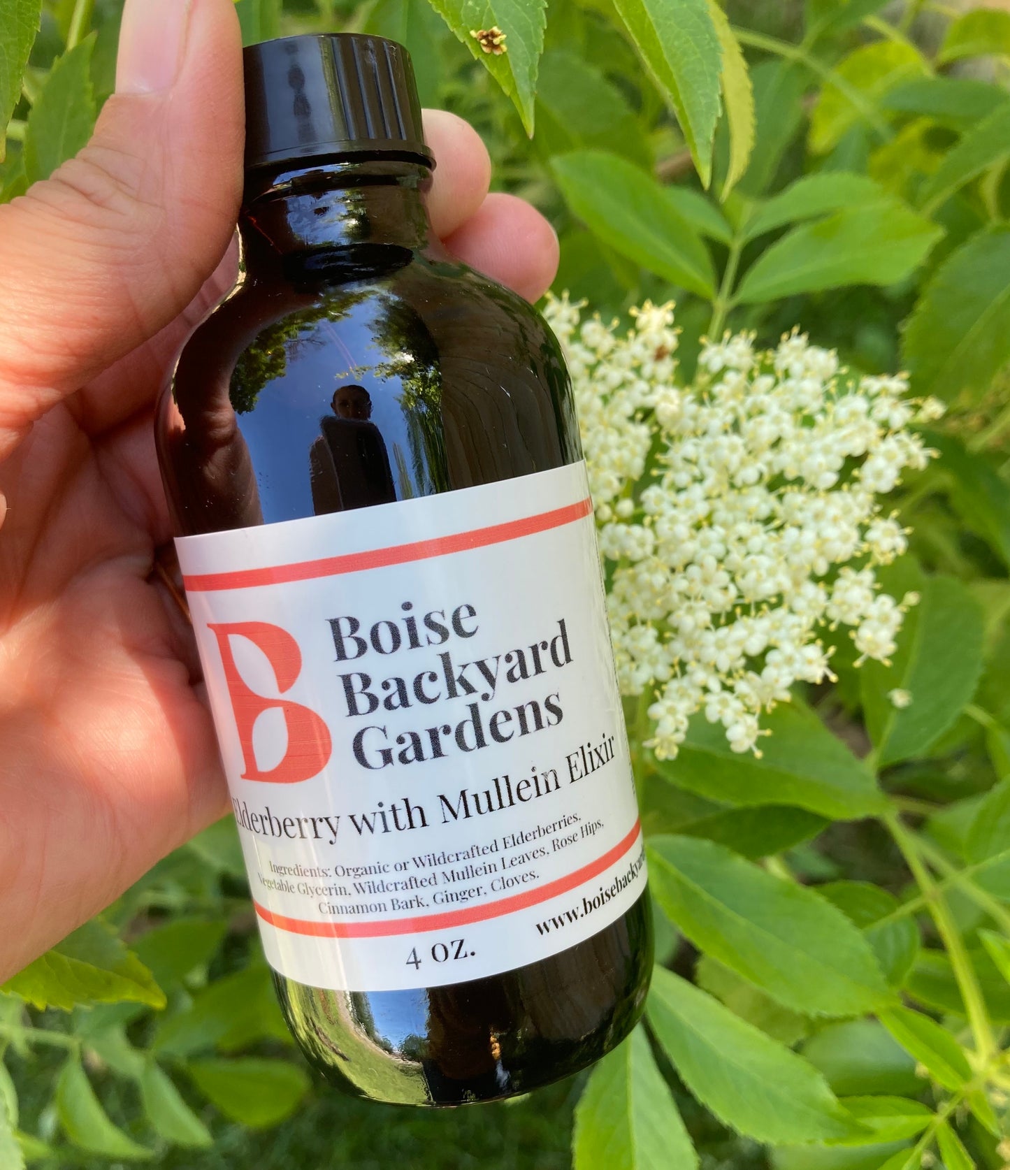 Elderberry Elixir w/Mullein - 4 oz.
