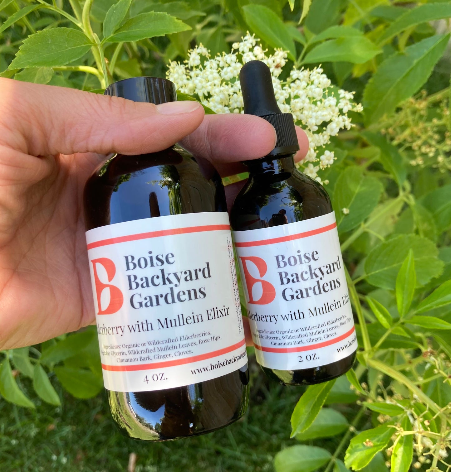 Elderberry Elixir w/Mullein - 4 oz & 2 oz
