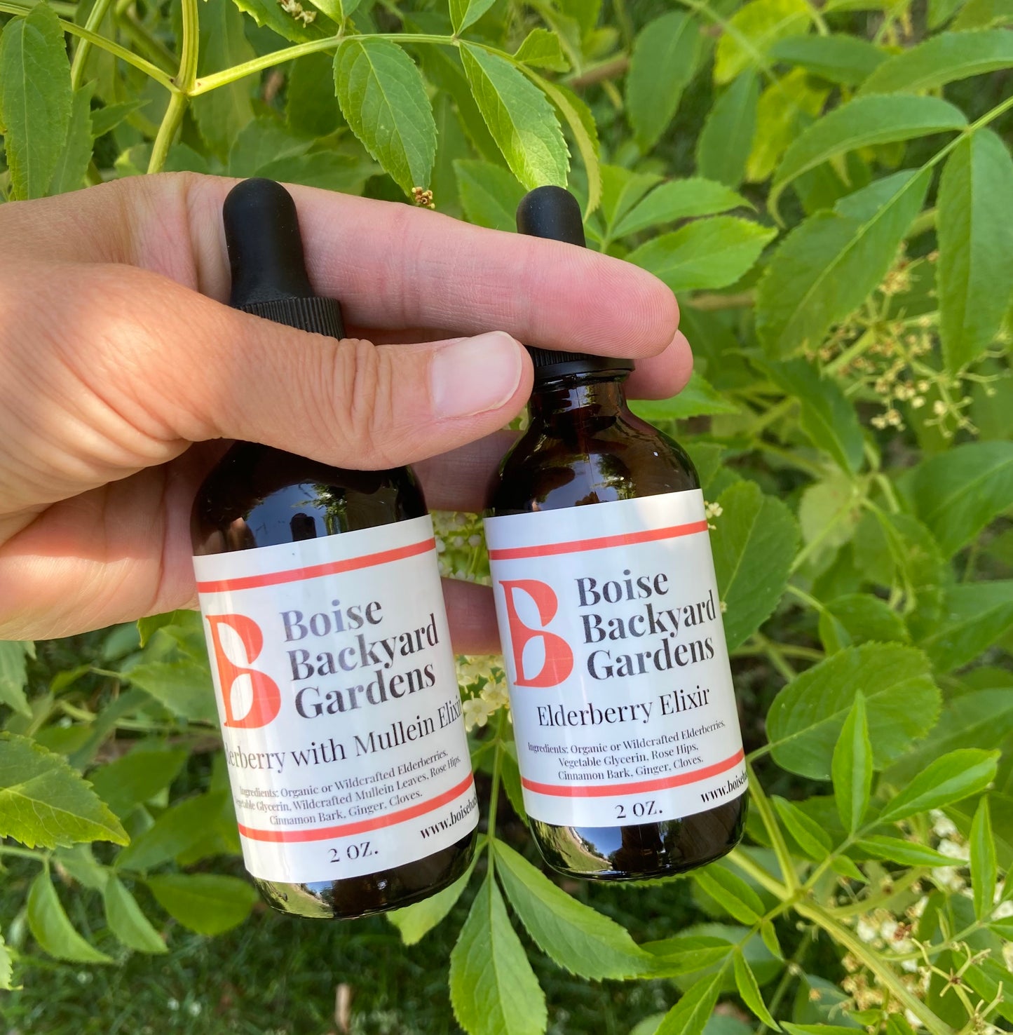 Elderberry Elixir Travel Size Bundle