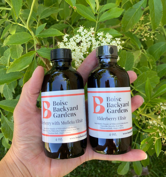 Elderberry Elixir 4 oz Bundle