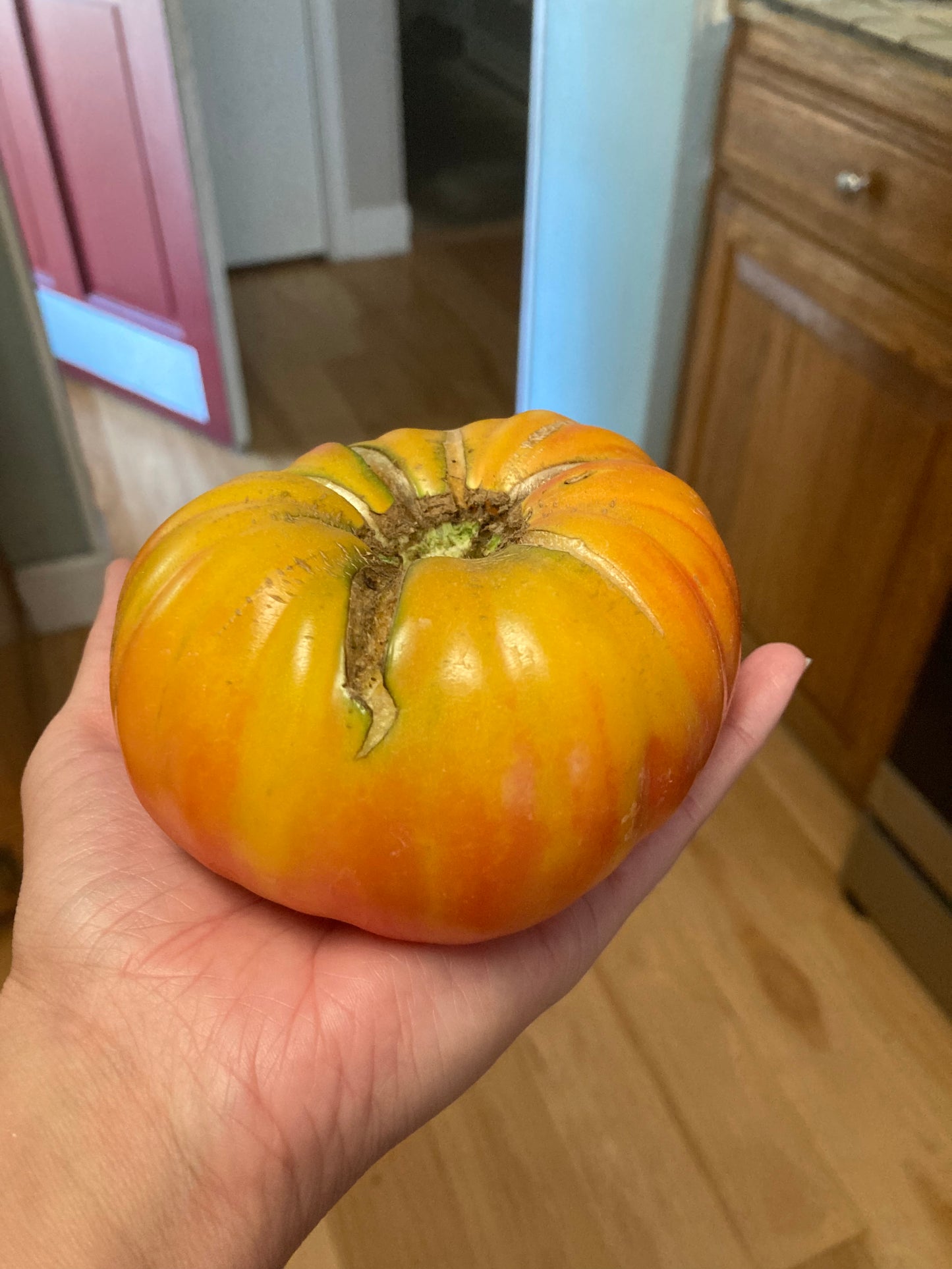Big Rainbow Tomato Seeds