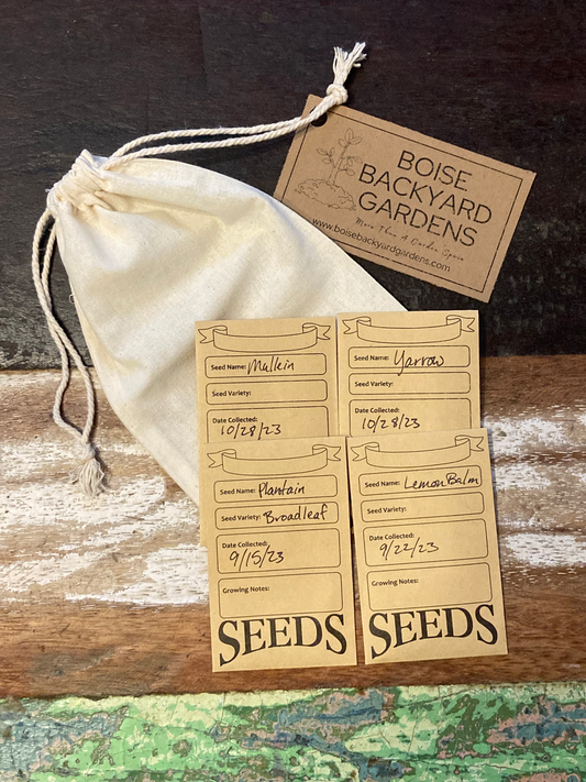 Medicinal Garden Seed Bundle