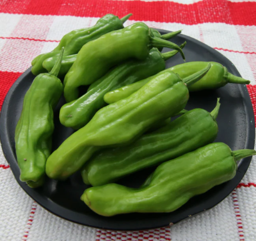 Pepperoncini Pepper Plant