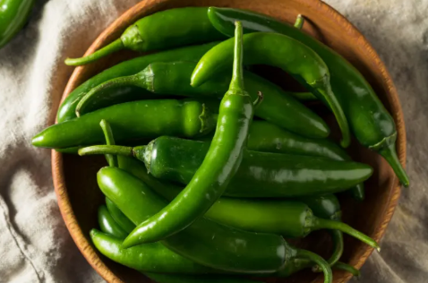 Serrano Tampiqueno Pepper Plant