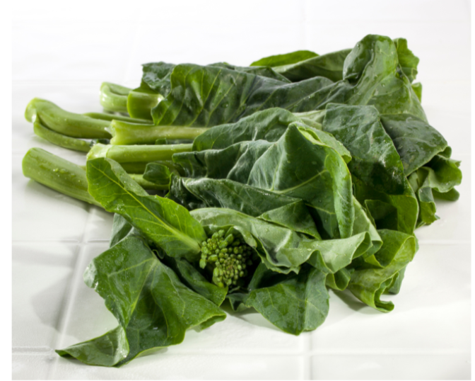 Spring Vegetable Collection #2