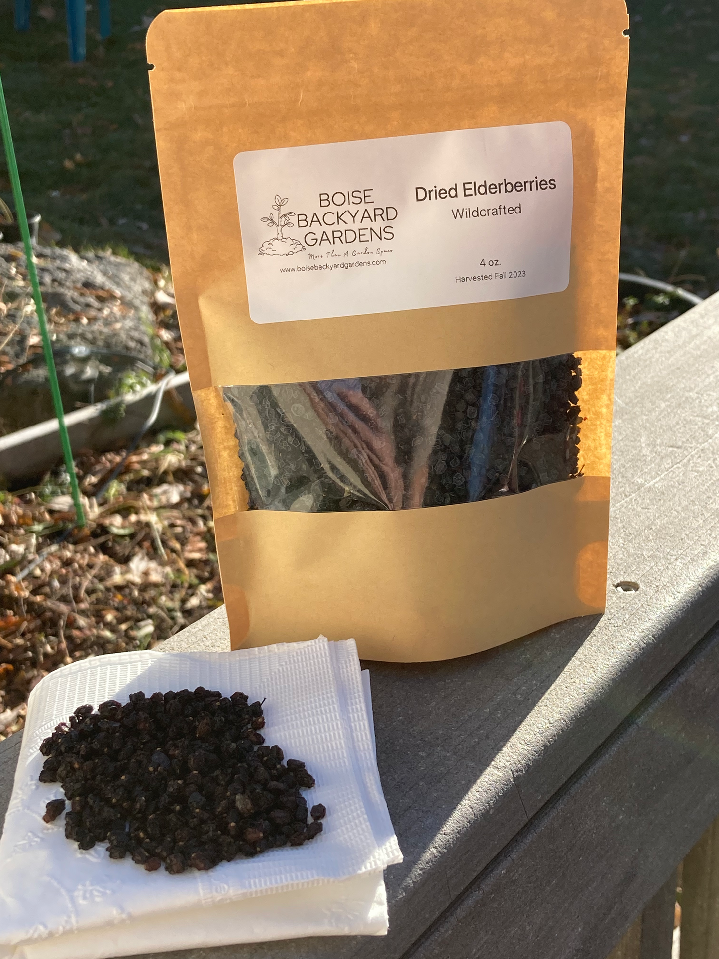 Dried Elderberries (Sambucus cerulea) - Wildcrafted