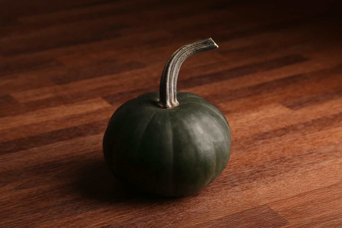 Black Kat Pumpkin Plant