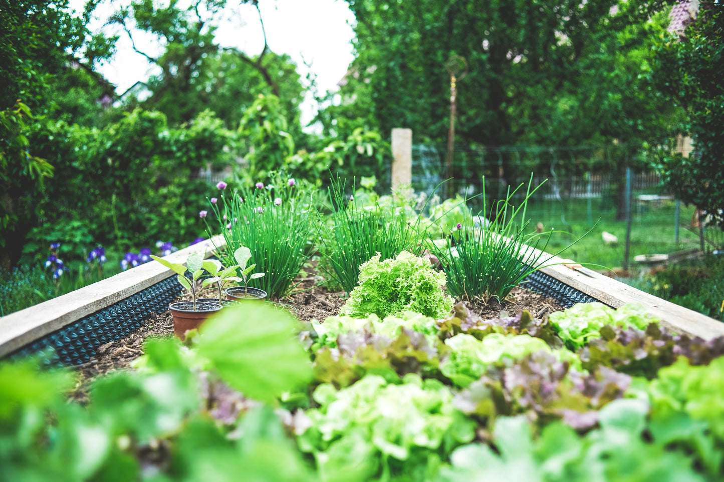 On-Site Garden Consultation