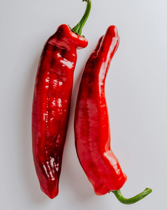 "Big" Thai Chili Pepper Plant